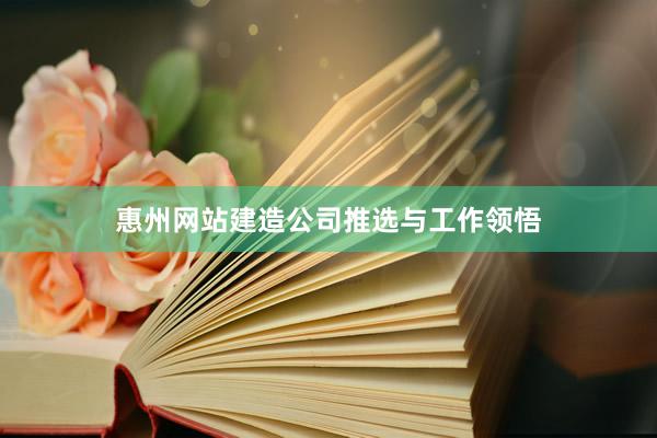 惠州网站建造公司推选与工作领悟