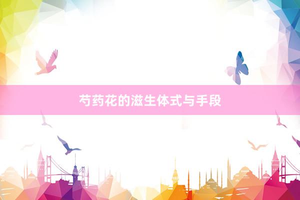 芍药花的滋生体式与手段