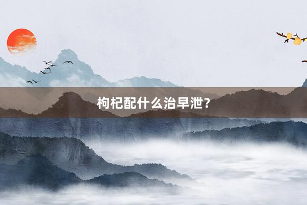 枸杞配什么治早泄？