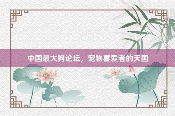 中国最大狗论坛，宠物喜爱者的天国