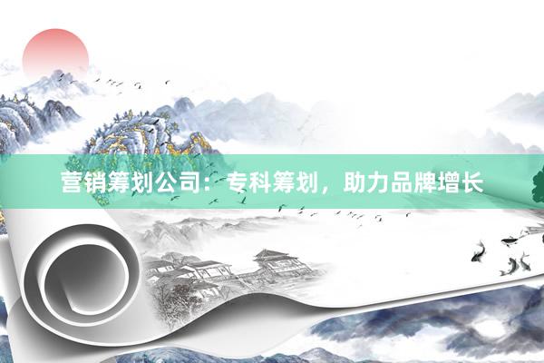营销筹划公司：专科筹划，助力品牌增长